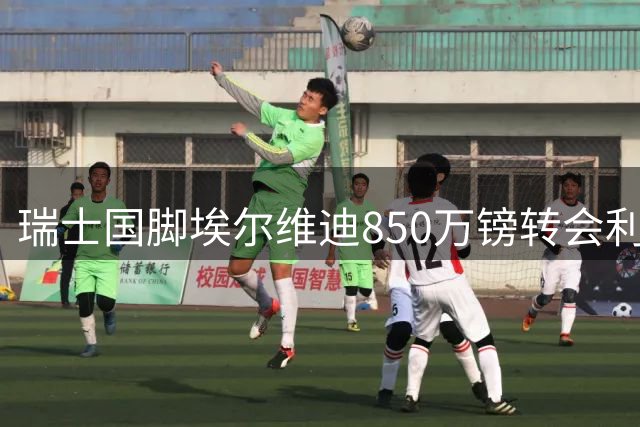 瑞士国脚埃尔维迪850万镑转会利兹联 周一将完成体检